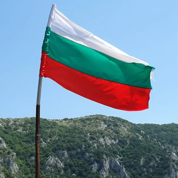 Un drone sous-marin non piloté retrouvé et détruit en mer Noire