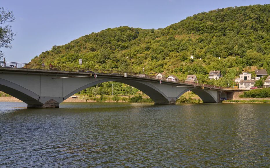 Un marginal condamné à 30 ans de prison pour le meurtre d'un travailleur handicapé