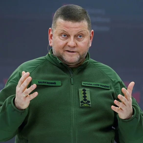 Résultat d'une enquête : un réseau illégal de combat de coqs démasqué dans la région de Volgo-Vyatka